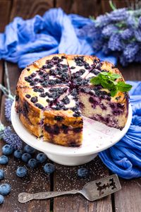 blueberry-cheesecake-PSFKVXG